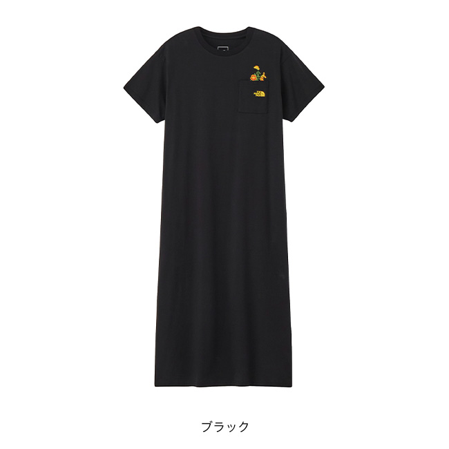 THE NORTH FACE（ザ ノースフェイス） ノースフェイス S/Sフラッシュ