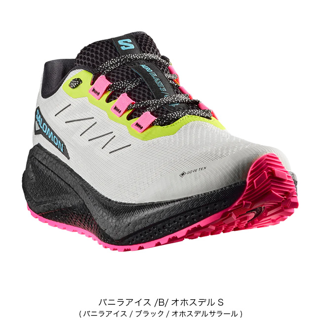 SALOMON（サロモン） エアロブレイズ3グラベルGTX メンズ L47976600