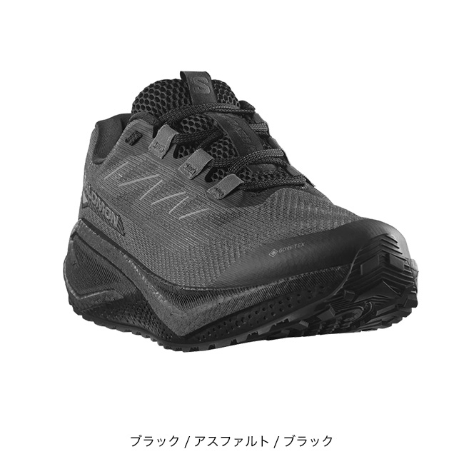 SALOMON（サロモン） エアロブレイズ3グラベルGTX メンズ L47976600