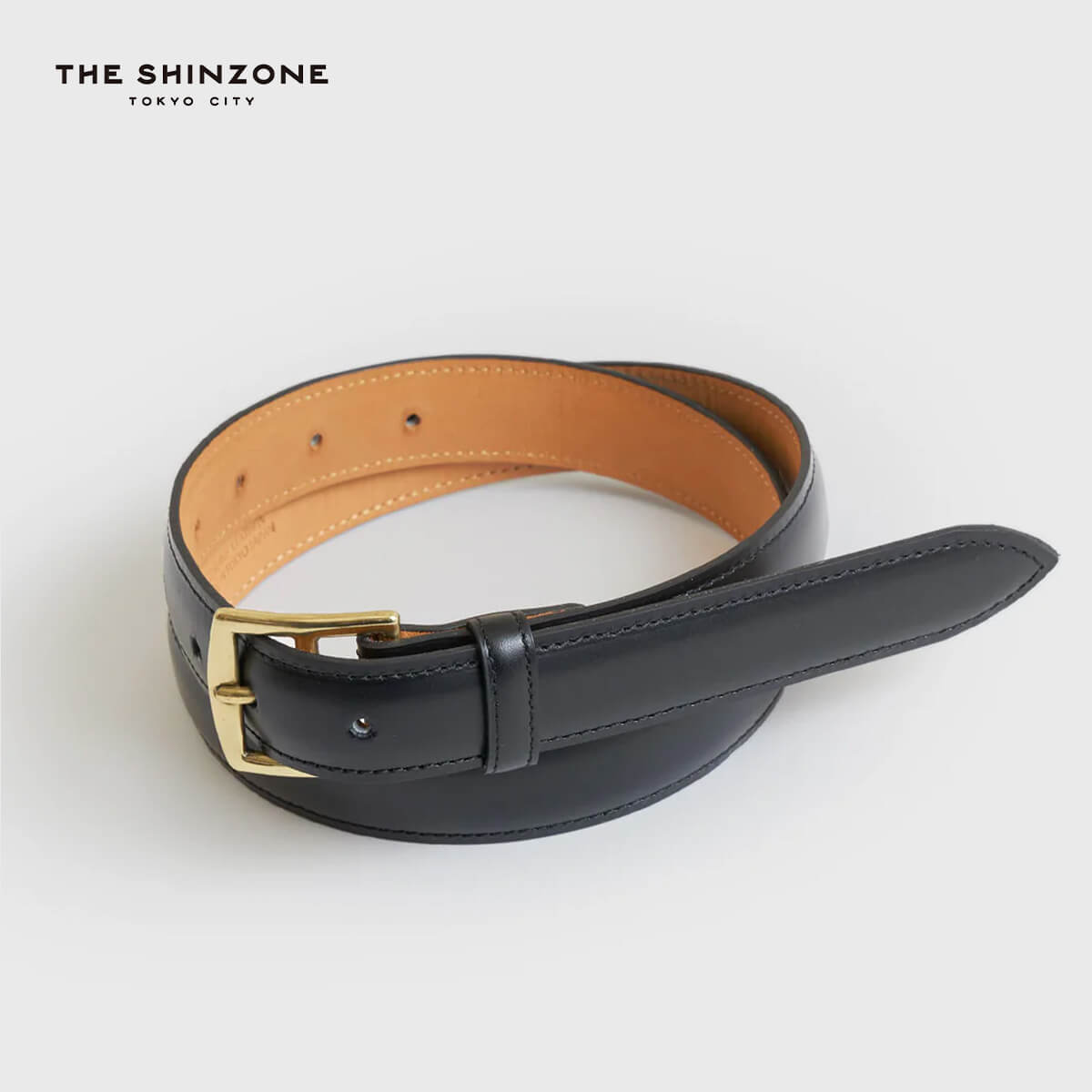 THE SHINZONE