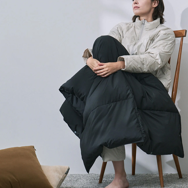 TAION（タイオン） ルームダウン 超軽量 800FP 羽毛膝掛け クッション