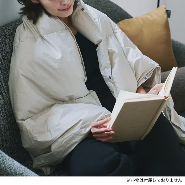 TAION（タイオン） ルームダウン 超軽量 800FP 羽毛膝掛け クッション