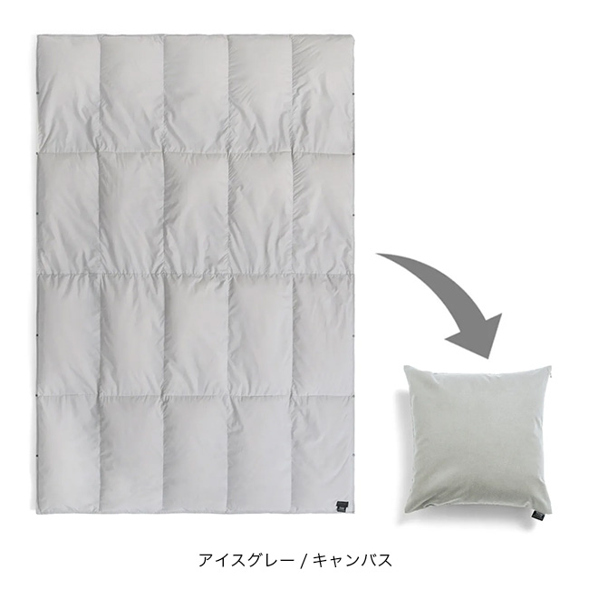 TAION タイオン ルームダウン 超軽量 800FP 羽毛布団 クッションカバー