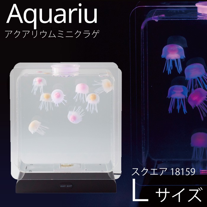 イシグロ アクアリウム ミニクラゲ スクエアM 51fS7m3tBBL._AC_SY200_QL15_.jpg