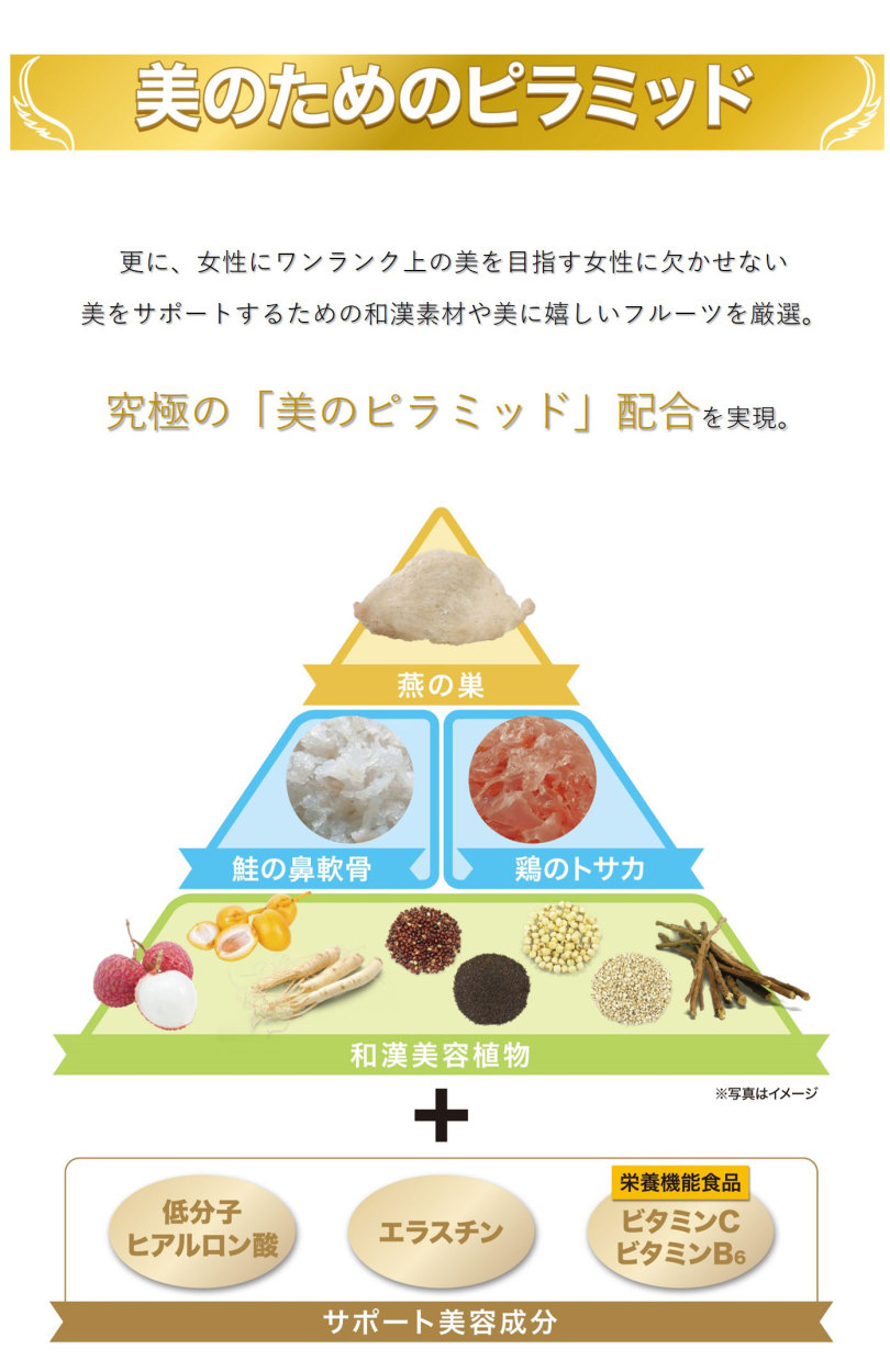 ジャスミン 燕美 えんび 10箱 10g 30包×10 エンビ 燕の巣 ゼリー