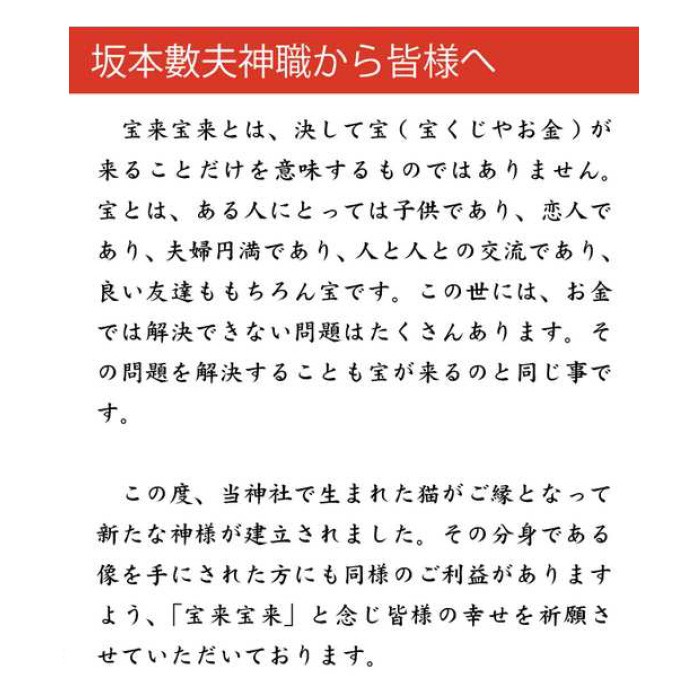 宝来宝来神社特別祈祷 当銭くじ猫 開運 運気 招き猫 ネコ 虎目石 フェルト : tm-1907-0011-gie : fuwalu - 通販 -  Yahoo!ショッピング