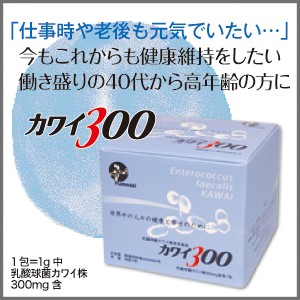 KAWAI カワイ 300 mg カワイ株 乳酸菌 研究所 正規代理店
