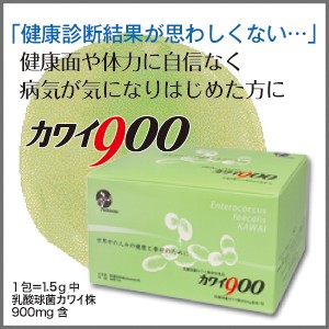 カワイ900  100包　1箱 カワイ900 - 乳酸球菌カワイ株