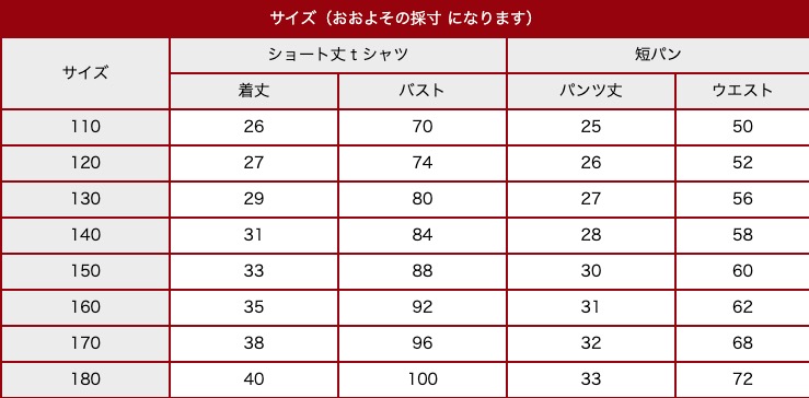 キッズ ダンス衣装 セットアップ チェック スカート チアガール