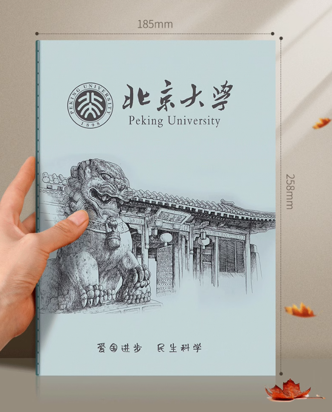 ノート 中国有名大学 名門校表紙 清華大学 北京大学 中国人民大学 武漢