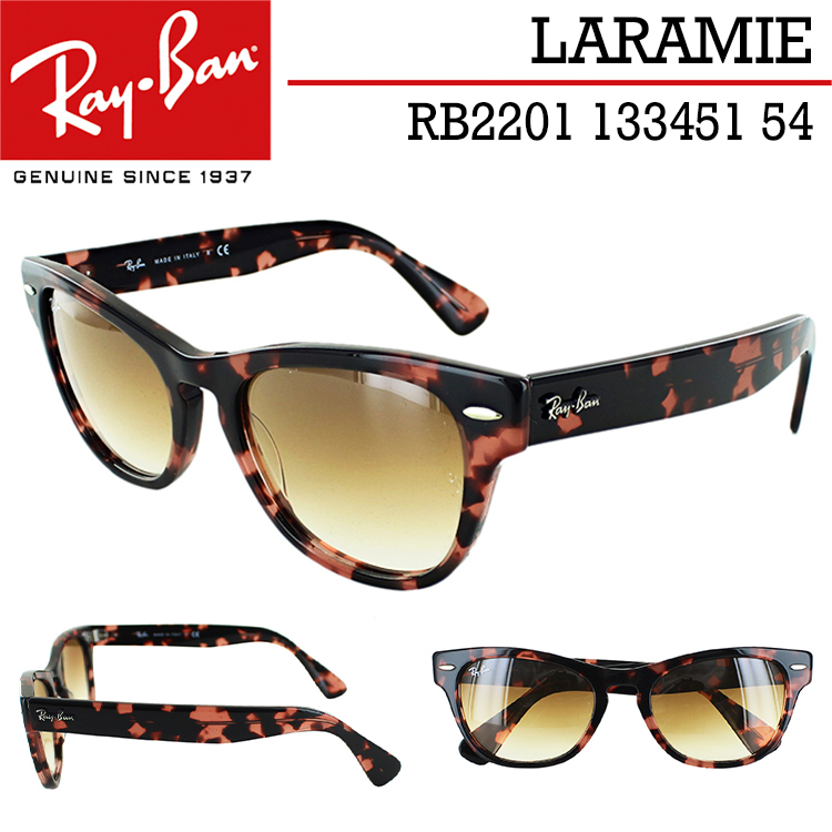 レイバン サングラス RB2201 133451 54 Ray-Ban LARAMIE