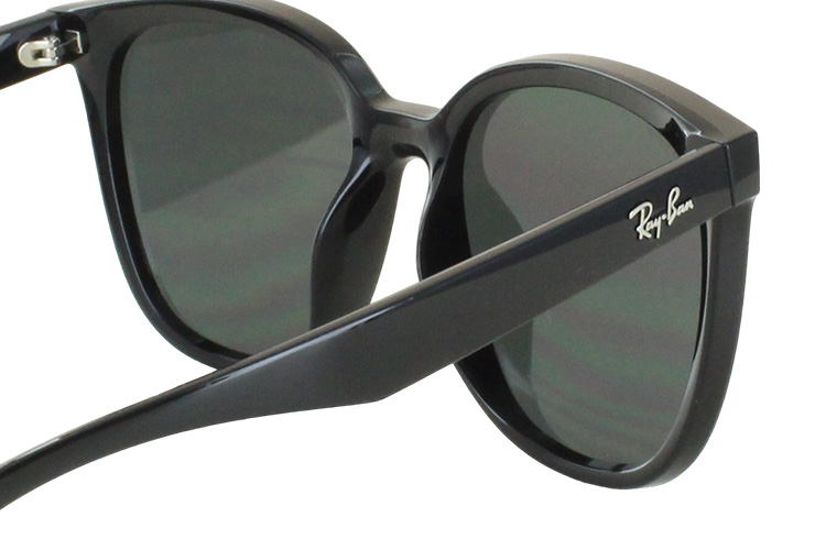 Ray-Ban レイバン サングラス 大きい サイズ RB4423D 601/87 66