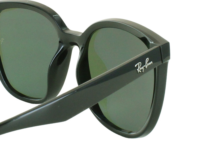 Ray-Ban レイバン 偏光サングラス 大きい サイズ RB4423D 601/9A