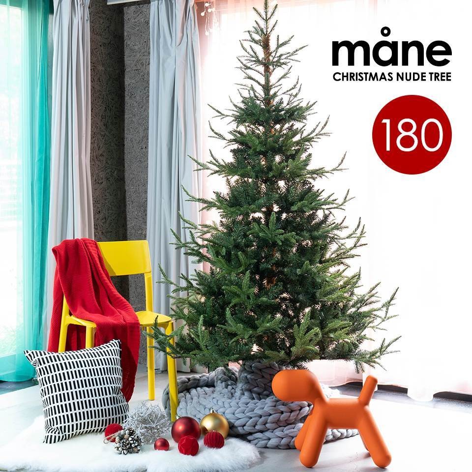 ちょっといいものをご提案 クリスマスにテント 防災グッズやアウトドア用品まで