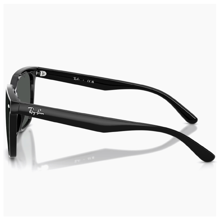 Ray-Ban（レイバン） 大きめ サングラス rb4466d 601/87 Ray-Ban 60187