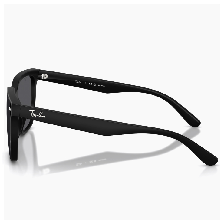 Ray-Ban（レイバン） 大きめ 偏光 サングラス rb4466d 601s/81 Ray-Ban