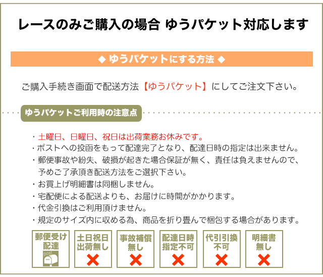 10cm単位販売 ゆうパケット可 巾約13cm 幅広 薔薇の繊細チュールレース 黒 TB18 |  | 05