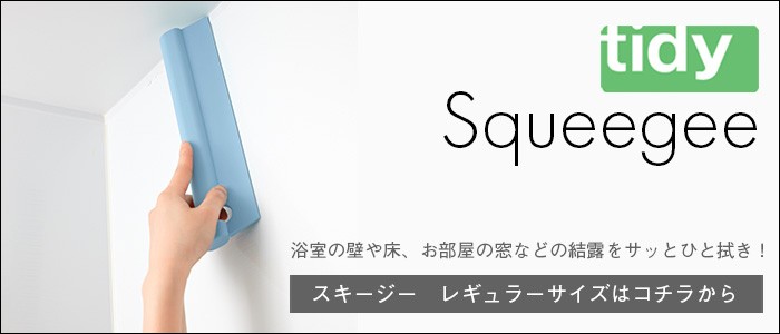 スキージーレギュラーはこちらから