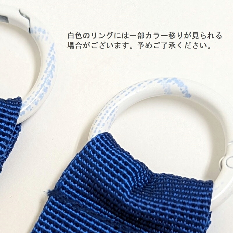 COLLEGE LETTER TAG カレッジレタータグ カレッジレター イニシャル タグ 刺繍 目印 キーホルダー 名前 リュック 傘 鞄 バッグ キーリング バイカラー ナイロンテープ ギフト プレゼント 
