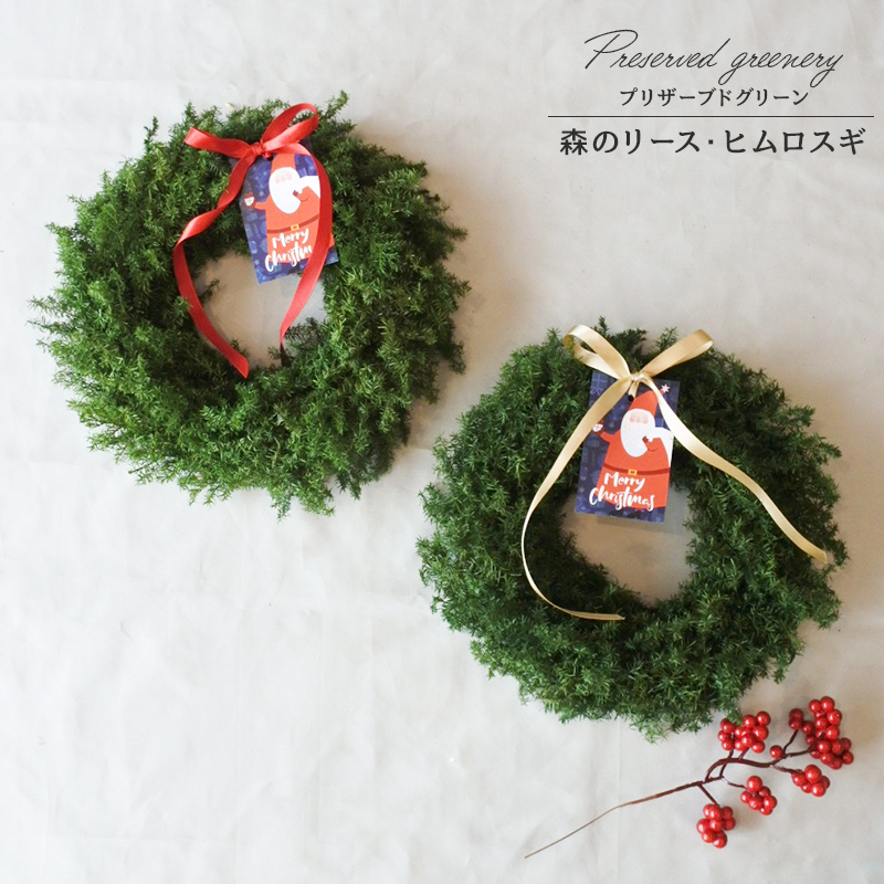クリスマスリース クリスマス スワッグ リース ヒムロスギ サンキライ 赤い実 森のリース L フォレストグリーン 25cm ドライアレンジ ドライフラワー 壁掛け インテリアフラワー アレンジメント 花材 枝 xmas Christmas ツリー 飾り 装飾 北欧 かわいい おしゃれ
