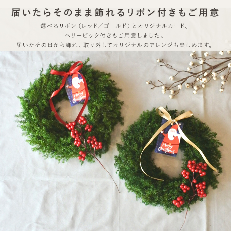 クリスマスリース クリスマス スワッグ リース ヒムロスギ サンキライ 赤い実 森のリース L フォレストグリーン 25cm ドライアレンジ ドライフラワー 壁掛け インテリアフラワー アレンジメント 花材 枝 xmas Christmas ツリー 飾り 装飾 北欧 かわいい おしゃれ