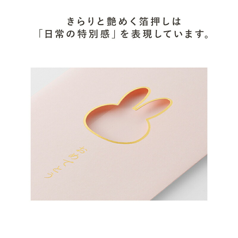 祝儀袋 のし袋 祝儀袋 ぽち袋 miffy ミッフィー 窓のし袋 出産祝い 入学祝 初誕生 お祝い 赤ちゃん 初節句 金封 お祝い袋 お祝 祝儀 封筒 紙袋 おしゃれ かわいい パステルカラー おめでとう ほんのきもち 字なし