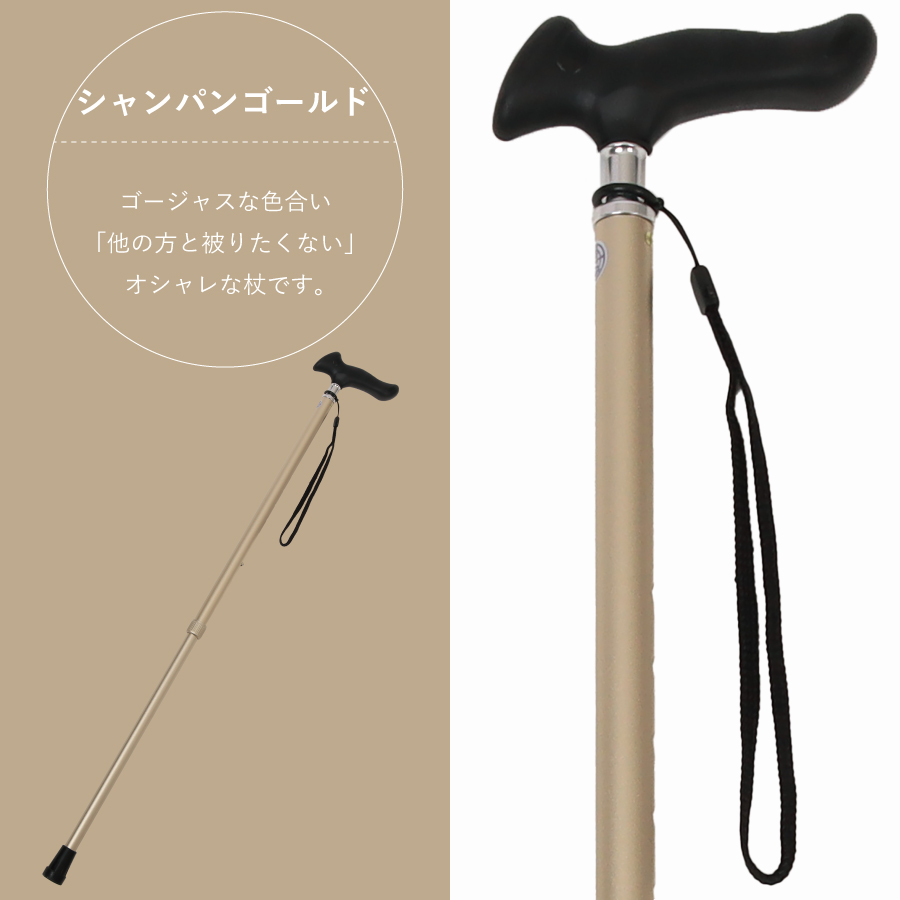 インターリンクス 杖 おしゃれ ピタグリップ伸縮杖 PG 女性 男性 軽量
