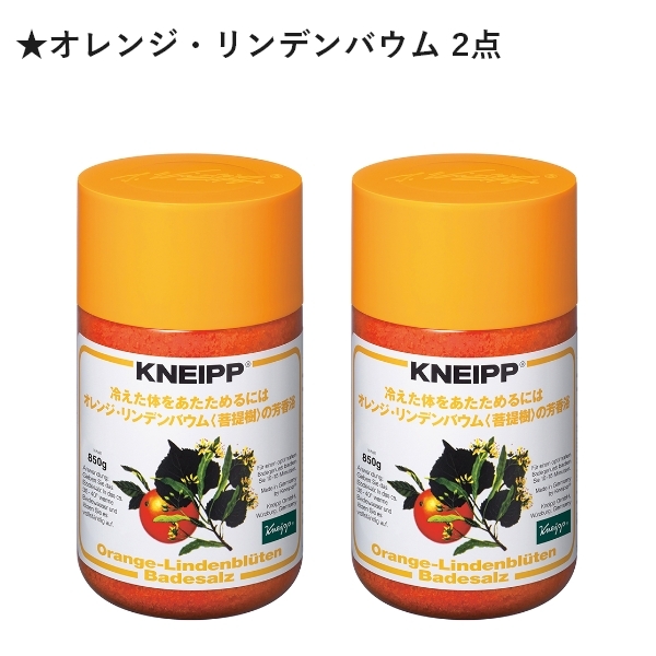 Kneipp クナイプ バスソルト 850G【お好きな香り2点セット】 : bath 