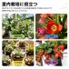 植物育成ライト LED フルスペクトル e26 24W 5800K 関連画像2