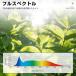 植物育成ライト LED フルスペクトル e26 24W 5800K 関連画像4