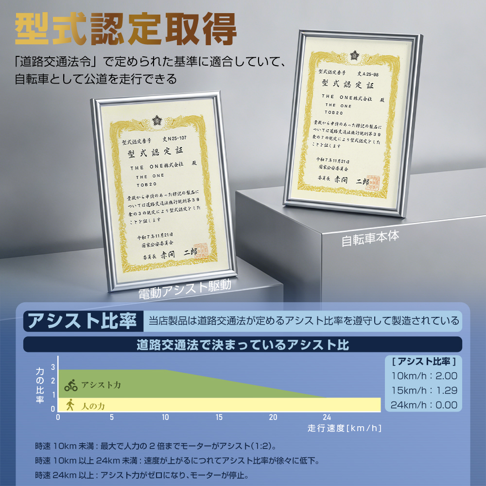 電動アシスト自転車 20インチ 折りたたみ 公道走行可能 350W ファットバイク TOB20 1年修理保証 | ブランド登録なし | 05