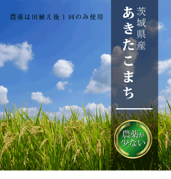 送料無料 新米 玄米 減農薬 あきたこまち お米 10キロ 令和6年 あきたこまち 玄米 10kg 送料無料 令和6年 新米 米 お米 茨城県