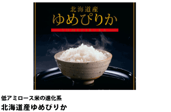 さんらいす Yahoo ショッピング