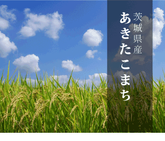 あきたこまち 玄米 30kg 送料無料 令和7年 新米 米 お米 茨城県産