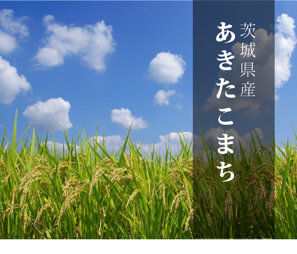 あきたこまち 玄米 30kg 送料無料 令和7年 新米 米 お米 茨城県産