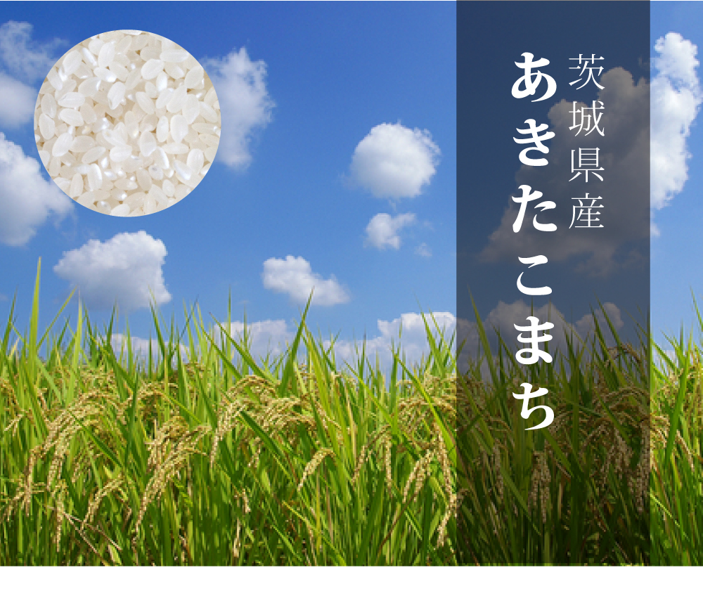 あきたこまち 米 10kg お米 送料無料 新米 令和7年 白米 茨城県産