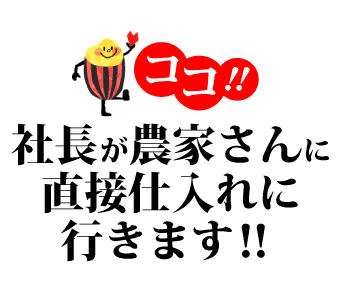 ▷令和6年　コシヒカリ10㌔◁12 適当な価格 楽天市場】コシヒカリ 令和6年産 米 玄米 10kg 20kg