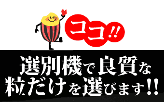 ▷令和6年　コシヒカリ10㌔◁12 令和6年産茨城コシヒカリ25キロ