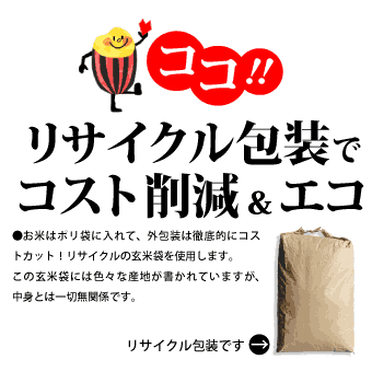 ▷令和6年　コシヒカリ10㌔◁12 適当な価格 楽天市場】コシヒカリ 令和6年産 米 玄米 10kg 20kg