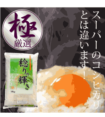 コシヒカリ 米 10kg お米 送料無料 新米 令和6年 白米 茨城県産