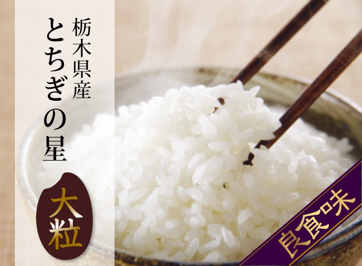 米 30kg お米 とちぎの星 送料無料 白米 新米 令和5年 栃木県産 