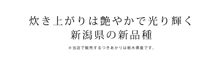 つきあかり02