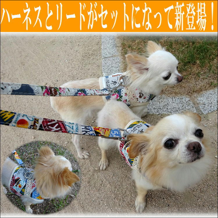 ハーネス 小型犬 リード 可愛い 犬 胴輪 ペット 首輪 犬用品 犬具