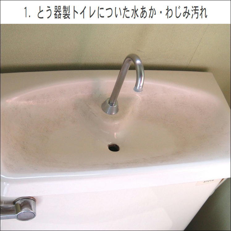 陶器 水垢取り 洗剤 トイレ 洗面台 とう器 洗浄 プロ用 掃除 水垢