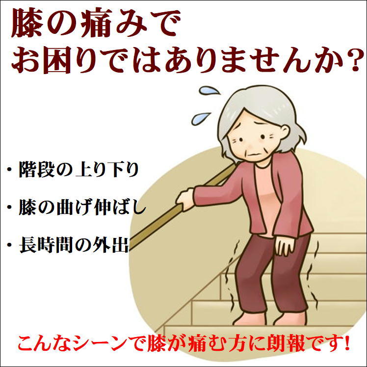 商品画像2