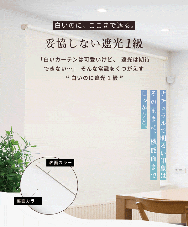 ロールスクリーン 白いロールスクリーン カーム 1本 遮光1級 選べる4