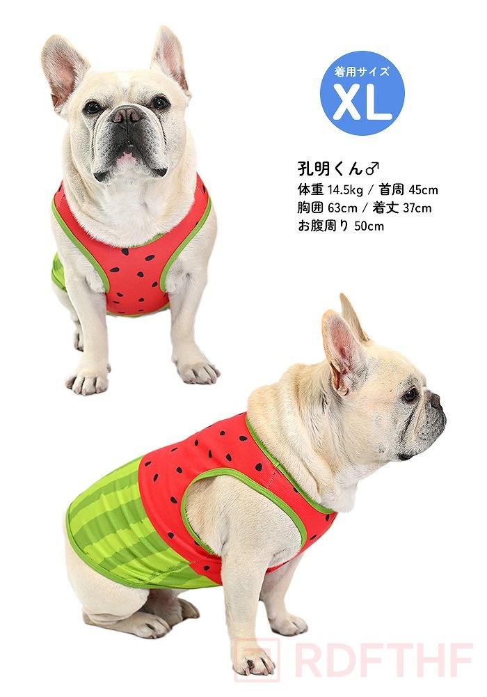 犬 服 接触冷感 タンクトップ ひんやり 濡らして冷却 スイカ柄 夏用