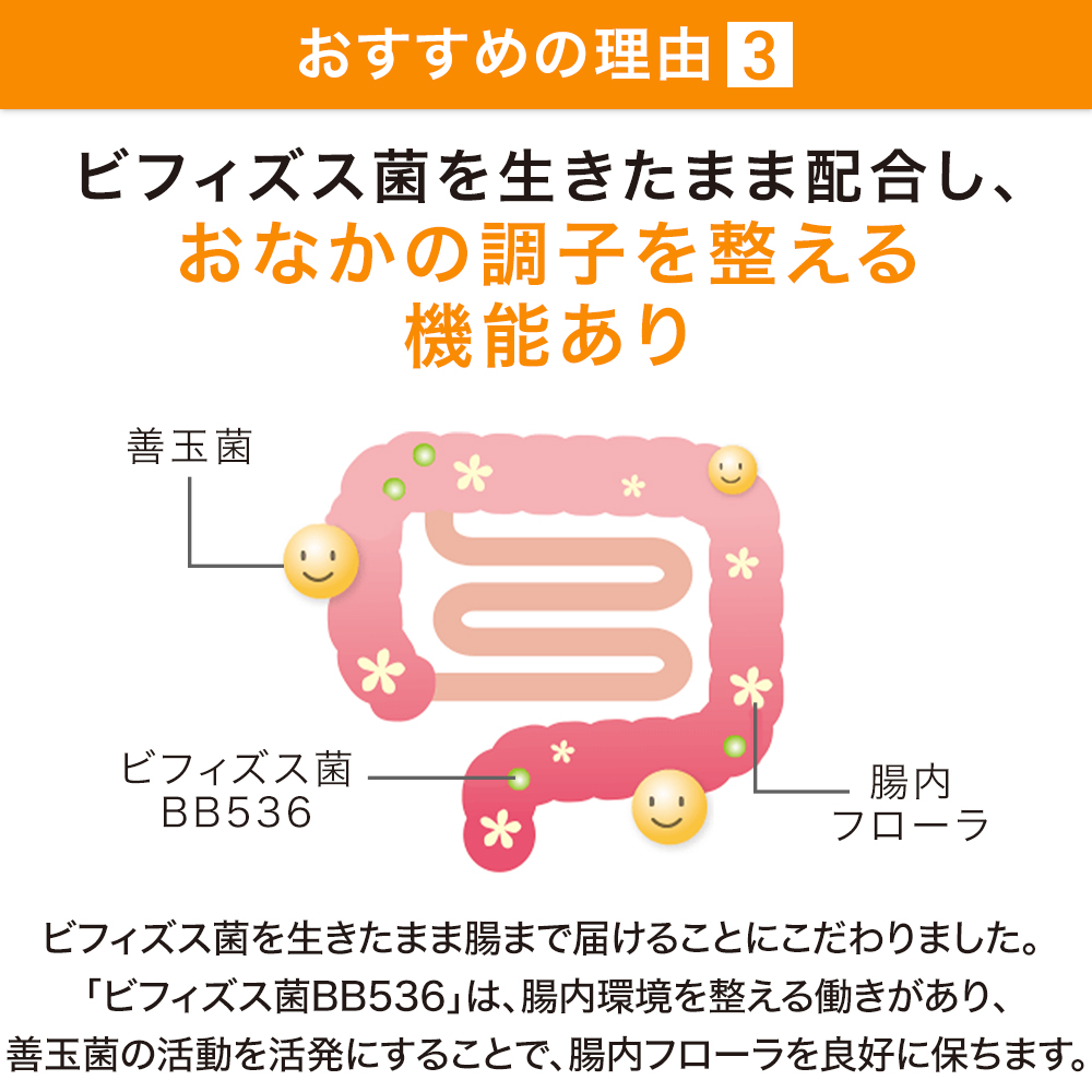 サントリーウエルネス公式 サントリー ラクフィット 乳酸菌 ビフィズス菌 BB536 S-PT84 サプリメント サプリ 30粒入/約30日分