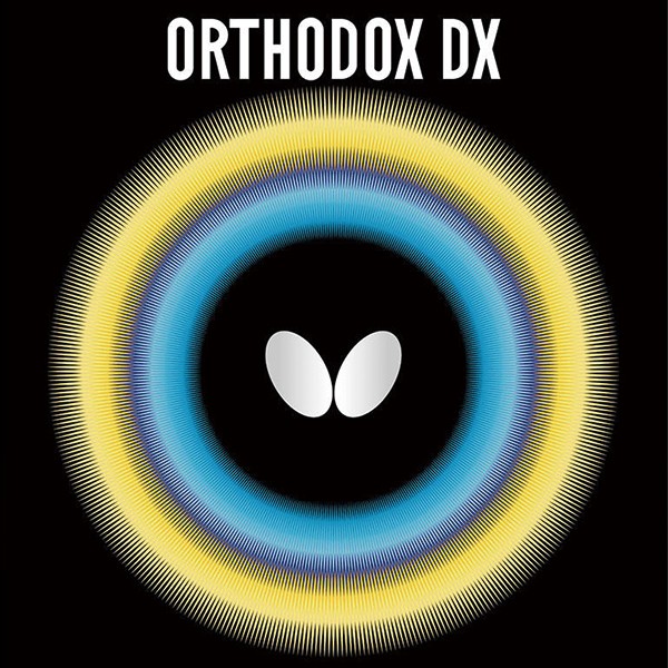 06040