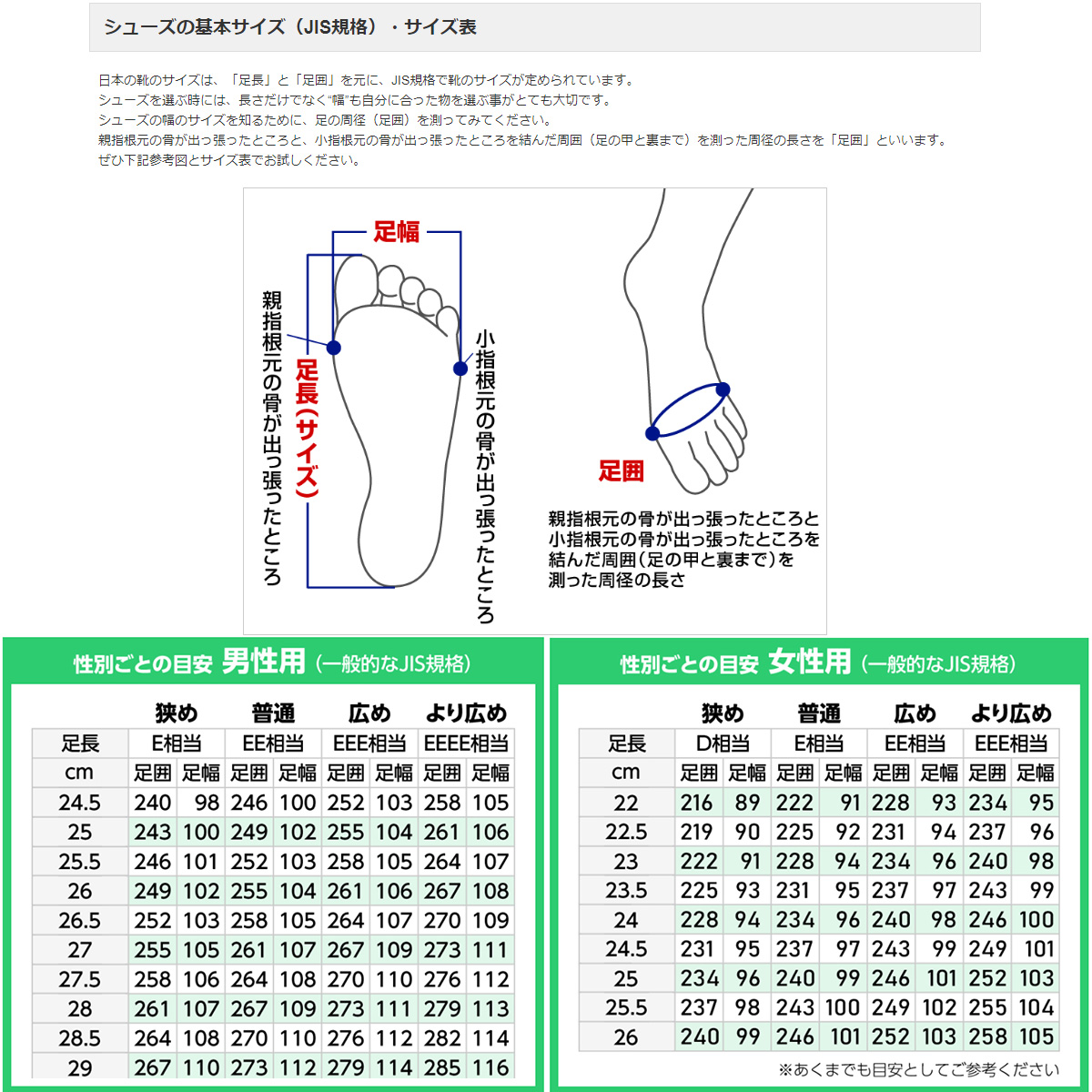 卓球シューズ ミズノ MIZUNO ウエーブメダル NEO メンズ レディース 81GA232522 数量限定カラー｜sunward｜14